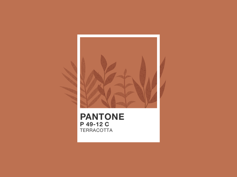 terracota pantone